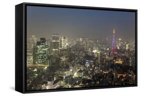 Dusk View of Tokyo from Tokyo City View Observation Deck, Roppongi Hills, Tokyo, Japan-Stuart Black-Framed Stretched Canvas