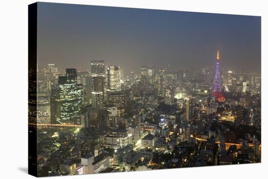 Dusk View of Tokyo from Tokyo City View Observation Deck, Roppongi Hills, Tokyo, Japan-Stuart Black-Stretched Canvas