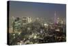 Dusk View of Tokyo from Tokyo City View Observation Deck, Roppongi Hills, Tokyo, Japan-Stuart Black-Stretched Canvas