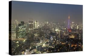 Dusk View of Tokyo from Tokyo City View Observation Deck, Roppongi Hills, Tokyo, Japan-Stuart Black-Stretched Canvas