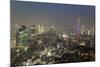 Dusk View of Tokyo from Tokyo City View Observation Deck, Roppongi Hills, Tokyo, Japan-Stuart Black-Mounted Photographic Print