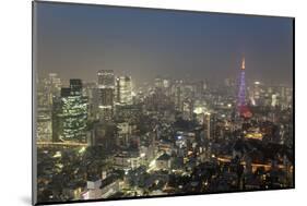 Dusk View of Tokyo from Tokyo City View Observation Deck, Roppongi Hills, Tokyo, Japan-Stuart Black-Mounted Photographic Print