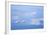 Dusk & Water VI-James McLoughlin-Framed Photographic Print