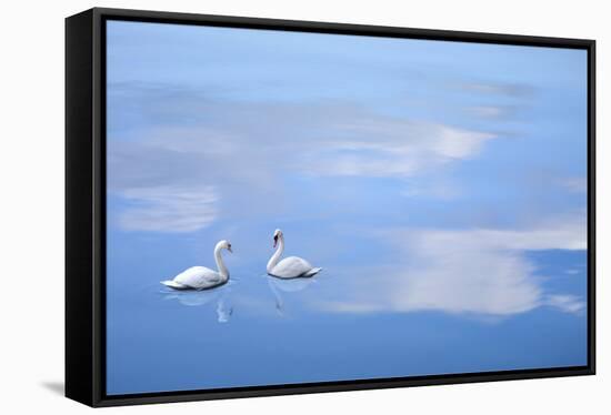 Dusk & Water VI-James McLoughlin-Framed Stretched Canvas