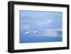 Dusk & Water VI-James McLoughlin-Framed Photographic Print