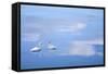 Dusk & Water VI-James McLoughlin-Framed Stretched Canvas