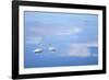 Dusk & Water VI-James McLoughlin-Framed Photographic Print