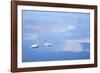 Dusk & Water VI-James McLoughlin-Framed Photographic Print