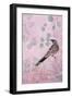 Dusk Wattlebird in Pink-Trudy Rice-Framed Art Print