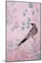 Dusk Wattlebird in Pink-Trudy Rice-Mounted Art Print