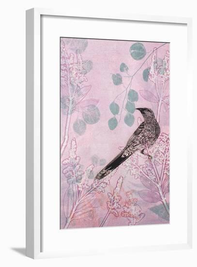 Dusk Wattlebird in Pink-Trudy Rice-Framed Art Print