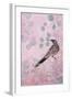 Dusk Wattlebird in Pink-Trudy Rice-Framed Art Print