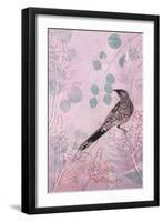 Dusk Wattlebird in Pink-Trudy Rice-Framed Art Print