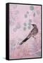 Dusk Wattlebird in Pink-Trudy Rice-Framed Stretched Canvas