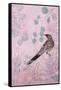 Dusk Wattlebird in Pink-Trudy Rice-Framed Stretched Canvas