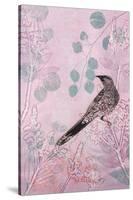 Dusk Wattlebird in Pink-Trudy Rice-Stretched Canvas
