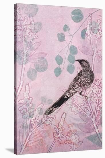 Dusk Wattlebird in Pink-Trudy Rice-Stretched Canvas