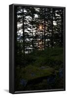 Dusk, wood, shore, Lelång Lake, Dalsland, Sweden-Andrea Lang-Framed Photographic Print