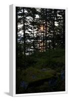 Dusk, wood, shore, Lelång Lake, Dalsland, Sweden-Andrea Lang-Framed Photographic Print