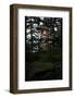 Dusk, wood, shore, Lelång Lake, Dalsland, Sweden-Andrea Lang-Framed Photographic Print