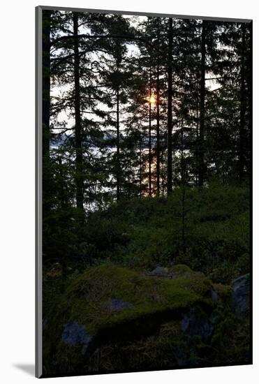 Dusk, wood, shore, Lelång Lake, Dalsland, Sweden-Andrea Lang-Mounted Photographic Print