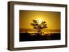 Dusk-Twentytwo-Framed Photographic Print