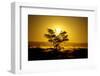 Dusk-Twentytwo-Framed Photographic Print