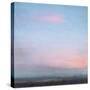 Dusk-Suzanne Nicoll-Stretched Canvas