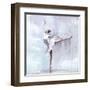 Dusky Arabesque-Aimee Del Valle-Framed Art Print