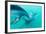 Dusky Dolphin (Lagenorhynchus Obscurus) Underwater Off Kaikoura, South Island, New Zealand, Pacific-Michael Nolan-Framed Photographic Print