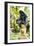 Dusky Langur Monkey (Trachypithecus Obscurus), Prachuap Kiri Khan, Thailand, Southeast Asia, Asia-Christian Kober-Framed Photographic Print