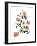 Dusky Wilderness Finds-Katrien Soeffers-Framed Giclee Print