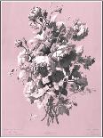 Dussurgey Roses on Pink-Dussurgey-Mounted Art Print