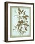 Dussurgey Ellebore on Blue-Dussurgey-Framed Art Print