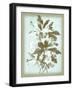 Dussurgey Ellebore on Blue-Dussurgey-Framed Art Print