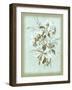 Dussurgey Hydrangea on Blue-Dussurgey-Framed Art Print