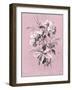 Dussurgey Hydrangea on Pink-Dussurgey-Framed Art Print