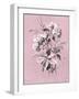 Dussurgey Hydrangea on Pink-Dussurgey-Framed Art Print