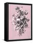 Dussurgey Roses on Pink-Dussurgey-Framed Stretched Canvas