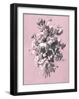 Dussurgey Roses on Pink-Dussurgey-Framed Art Print