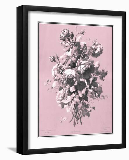 Dussurgey Roses on Pink-Dussurgey-Framed Art Print