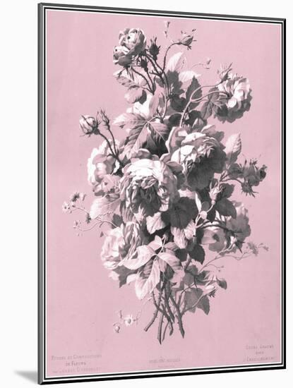 Dussurgey Roses on Pink-Dussurgey-Mounted Art Print