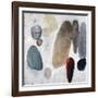 Dust and Rocks-Clayton Rabo-Framed Giclee Print