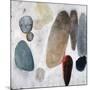 Dust and Rocks-Clayton Rabo-Mounted Giclee Print