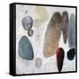 Dust and Rocks-Clayton Rabo-Framed Stretched Canvas