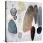 Dust and Rocks-Clayton Rabo-Stretched Canvas