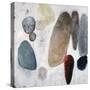 Dust and Rocks-Clayton Rabo-Stretched Canvas