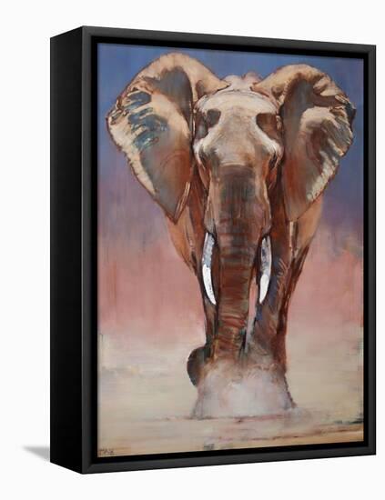 Dust Bath, Loisaba-Mark Adlington-Framed Stretched Canvas