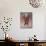 Dust Bath, Loisaba-Mark Adlington-Giclee Print displayed on a wall