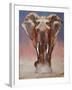 Dust Bath, Loisaba-Mark Adlington-Framed Giclee Print